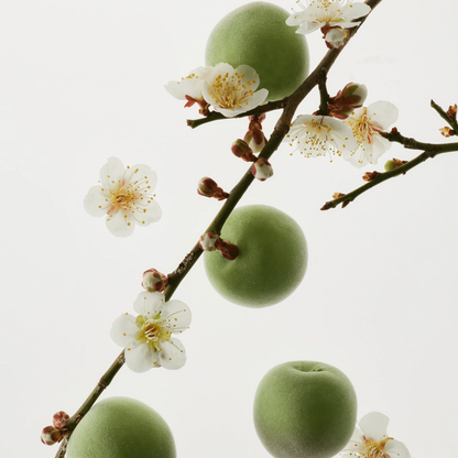 Beauty of Joseon Green Plum Refreshing Toner