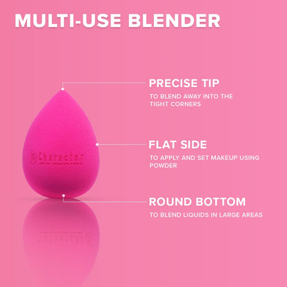 Character Blending Sponge Set